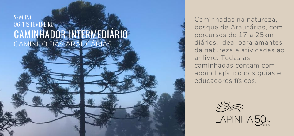 CAMINHADOR INTERMEDIÁRIO - CAMINHO DAS ARAUCÁRIAS